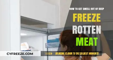 Eliminate Rotten Meat Odor: Deep Freeze Cleaning Tips and Tricks