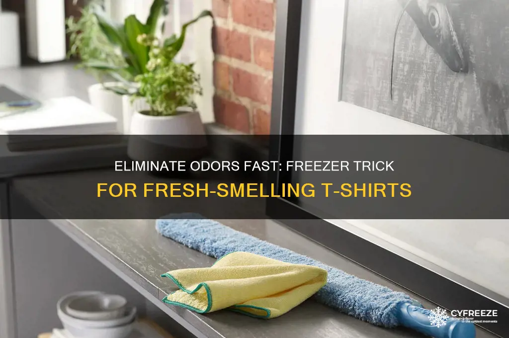how to get smell out of t shirts freezer