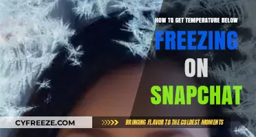Snapchat's Chilling Effect: Mastering the Below-Freezing Temperature Filter