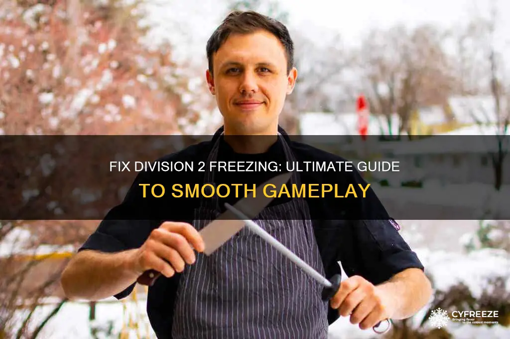 how to get the division 2 to stop freezing