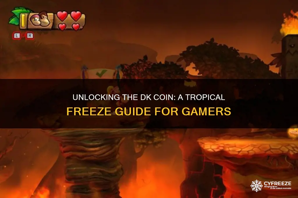 how to get the dk coin in tropical freeze