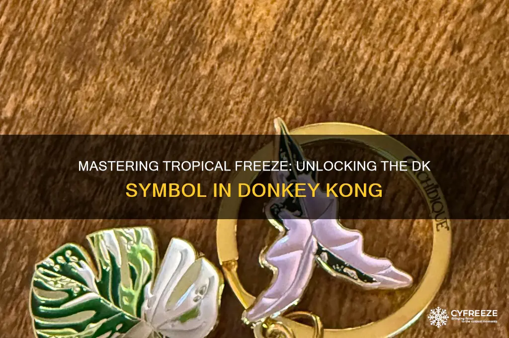 how to get the dk symbol in tropical freeze