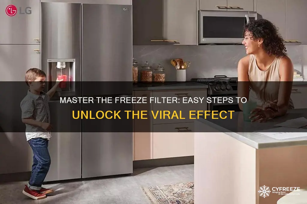 how to get the freeze filter