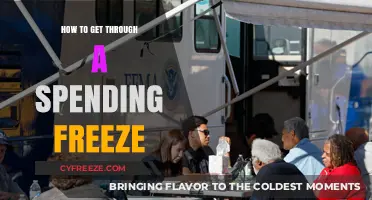 Surviving a Spending Freeze: Smart Strategies to Stay Financially Afloat