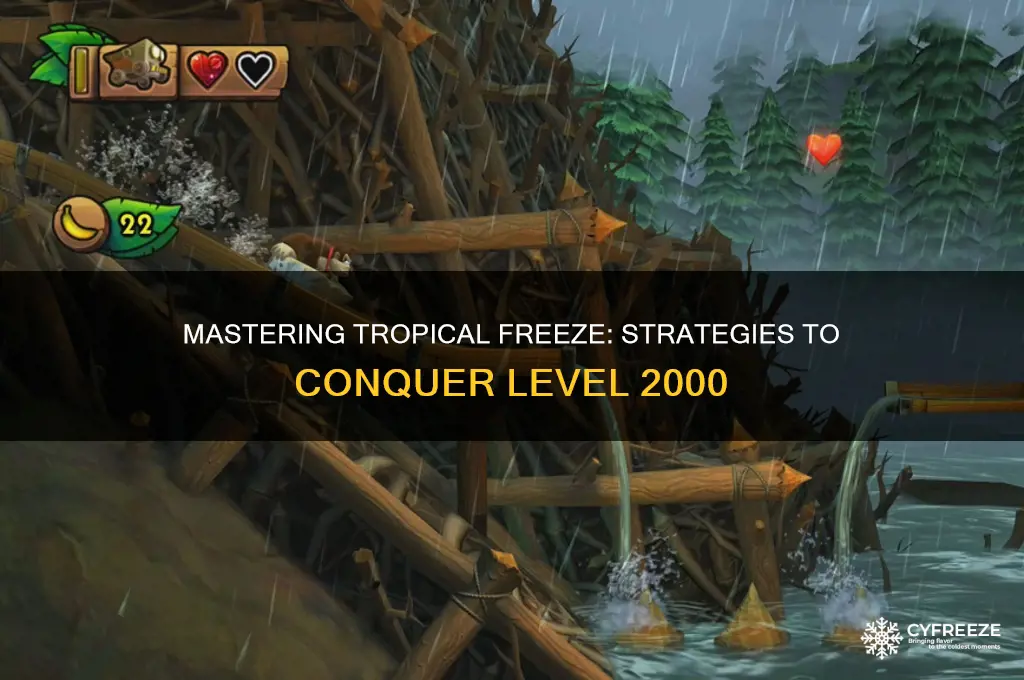 how to get thru 2k level in tropical freeze
