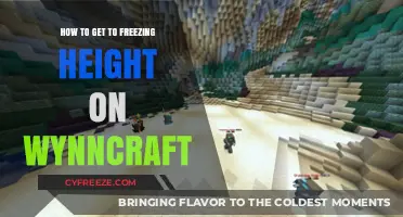 Mastering the Climb: Reaching Freezing Heights in Wynncraft