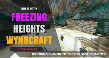 Climbing to Freezing Heights: A Wynncraft Adventure Guide