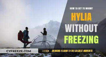 Conquer Mount Hylia: Essential Tips to Avoid Freezing on Your Journey