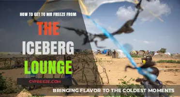 Navigating from Iceberg Lounge to Mr. Freeze: A Quick Guide