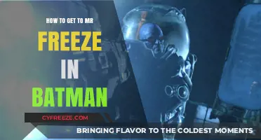 Navigating Gotham: A Guide to Reaching Mr. Freeze in Batman