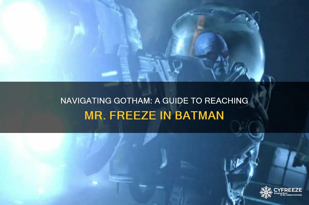 how to get to mr freeze in batman
