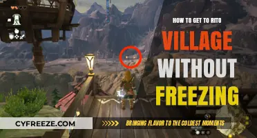 Stay Warm: Navigating to Rito Village Without Freezing to Death