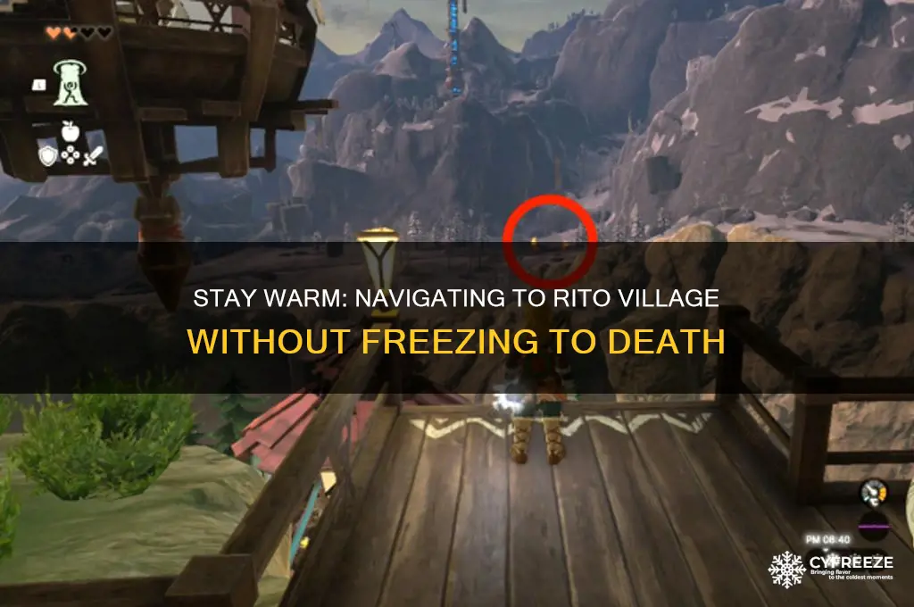 how to get to rito village without freezing