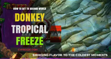 Mastering Donkey Kong Tropical Freeze: Tips to Reach World 2