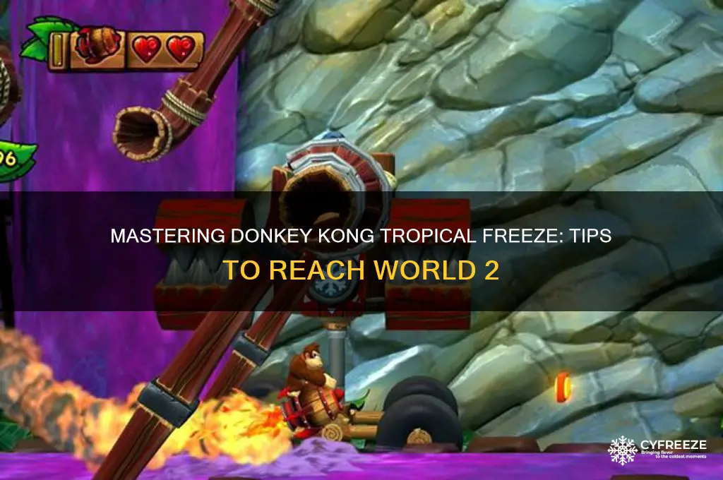 how to get to second world donkey tropical freeze