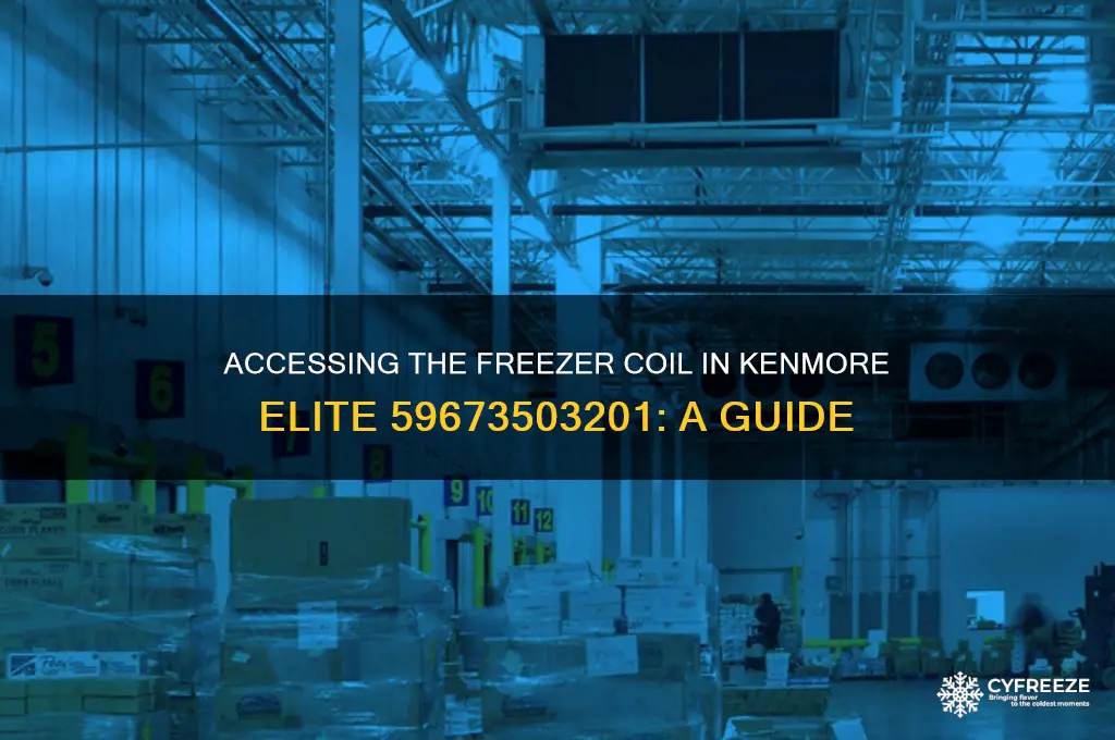 how to get to the freezer coil kenmore elite 59673503201