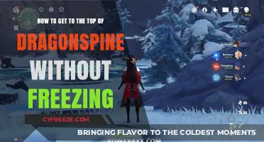 Conquer Dragonspine's Peak: Stay Warm and Reach the Summit Fast