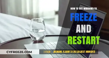 Troubleshooting Windows: Effective Methods to Freeze and Restart Your System