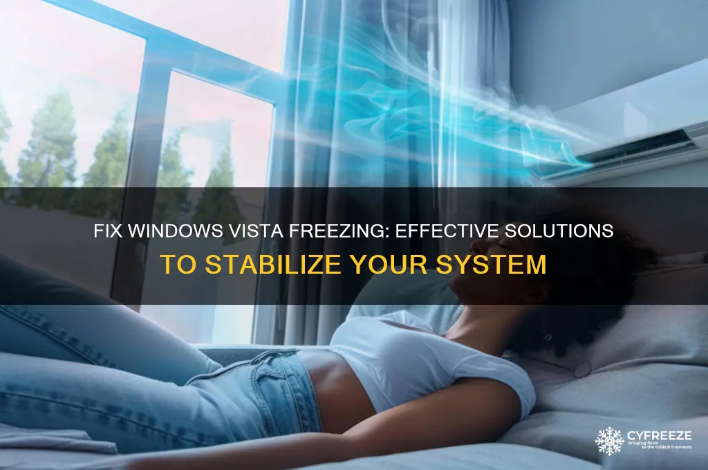 how to get windows vista to stop freezing