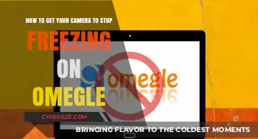 Fix Omegle Camera Freezing: Quick Solutions for Smooth Video Chats