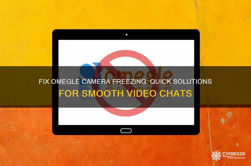 how to get your camera to stop freezing on omegle