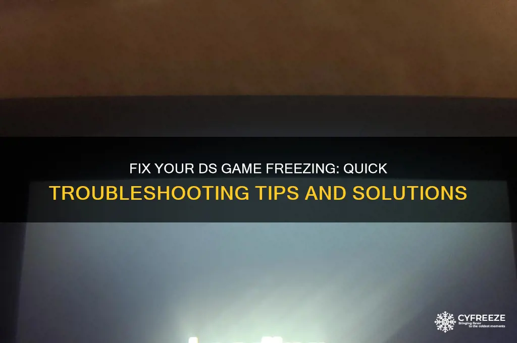 how to get your ds game to stop freezing