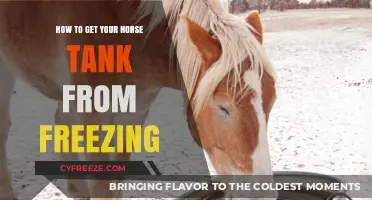 Prevent Horse Tank Freezing: Essential Winter Care Tips for Equine Owners