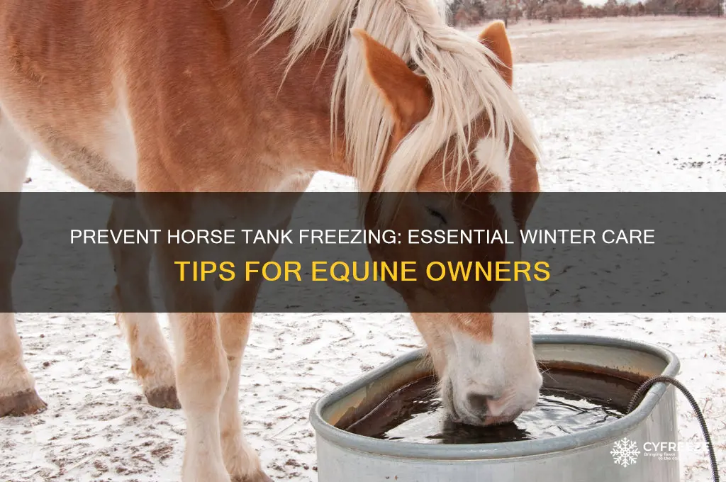 how to get your horse tank from freezing