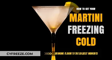 Chill Your Martini to Perfection: Expert Tips for Ice-Cold Elegance