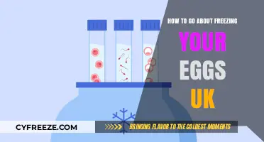 Egg Freezing in the UK: A Comprehensive Guide for Women