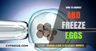 From Farm to Freezer: A Beginner's Guide to Harvesting and Preserving Eggs