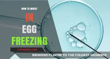 Securing Your Future: A Guide to Investing in Egg Freezing