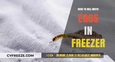 Effective Ways to Eliminate Moth Eggs in Your Freezer