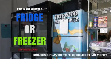 Chill-Free Living: Embracing a Fridge-less Lifestyle
