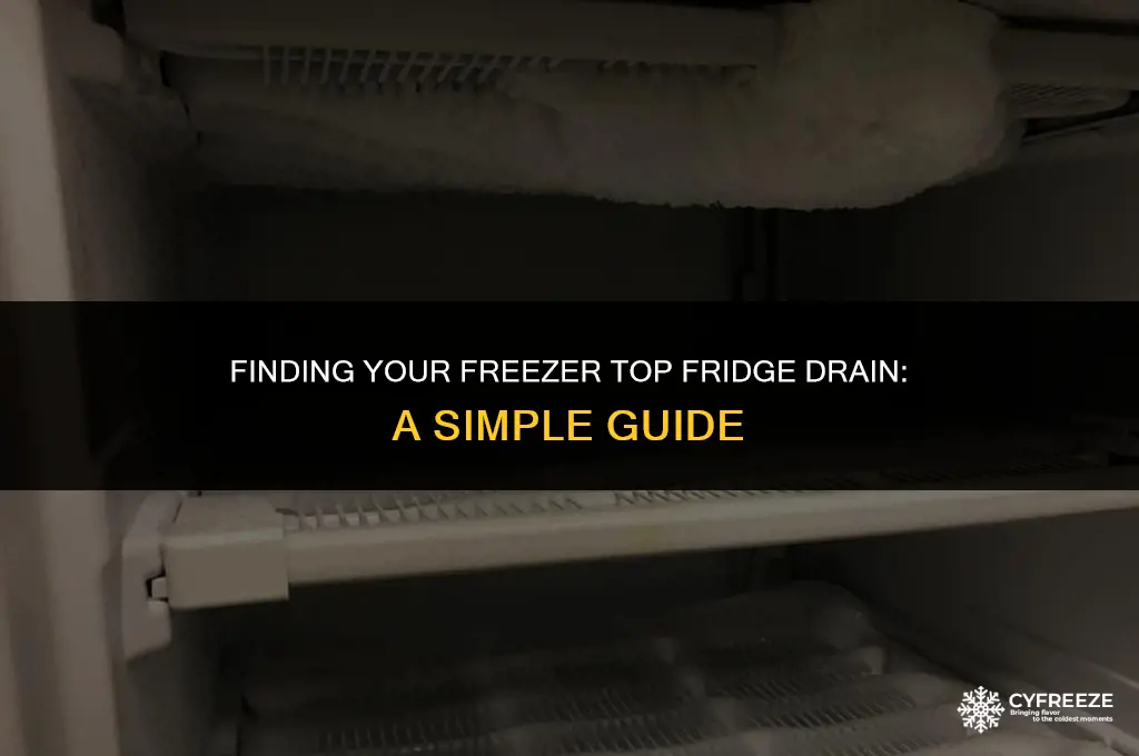 how to locate freezer top fridge drain