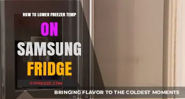 Chill Out: Easy Steps to Lower Your Samsung Freezer's Temperature