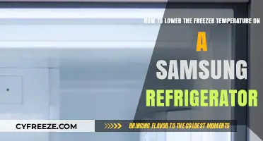 Lowering Your Samsung Freezer Temperature: A Quick and Easy Guide