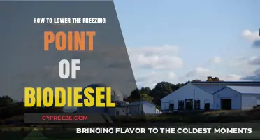 Effective Methods to Reduce Biodiesel's Freezing Point for Optimal Performance
