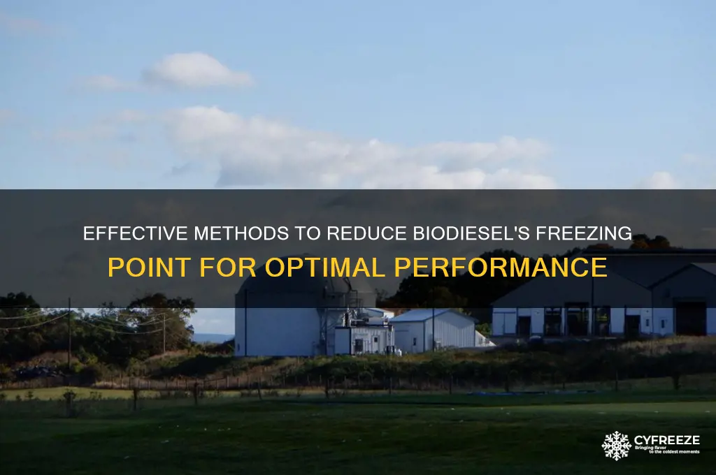 how to lower the freezing point of biodiesel