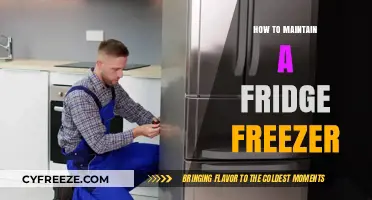 Chill Maintenance: Tips for a Healthy Fridge Freezer
