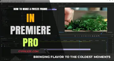 Mastering Freeze Frames in Premiere Pro: A Step-by-Step Guide