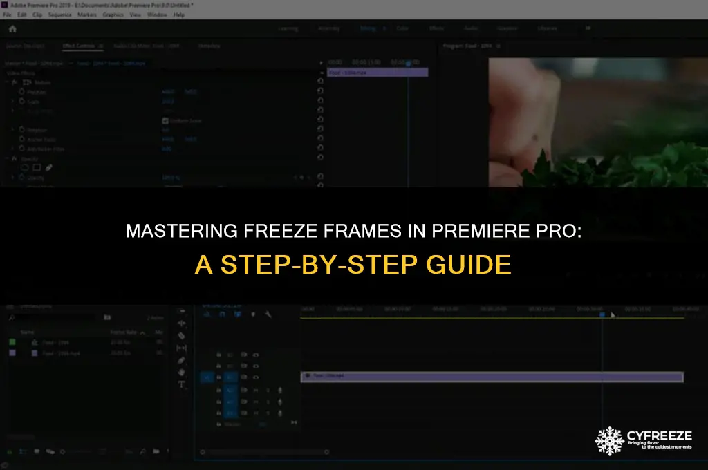 how to make a freeze frame in premiere pro