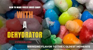 Dehydrator Delights: Crafting Freeze-Dried Candy at Home