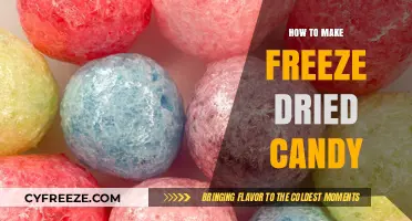 Sweet Preservation: The Art of Making Freeze-Dried Candy