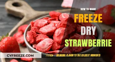 From Fresh to Freeze-Dry: A Simple Guide to Strawberry Preservation
