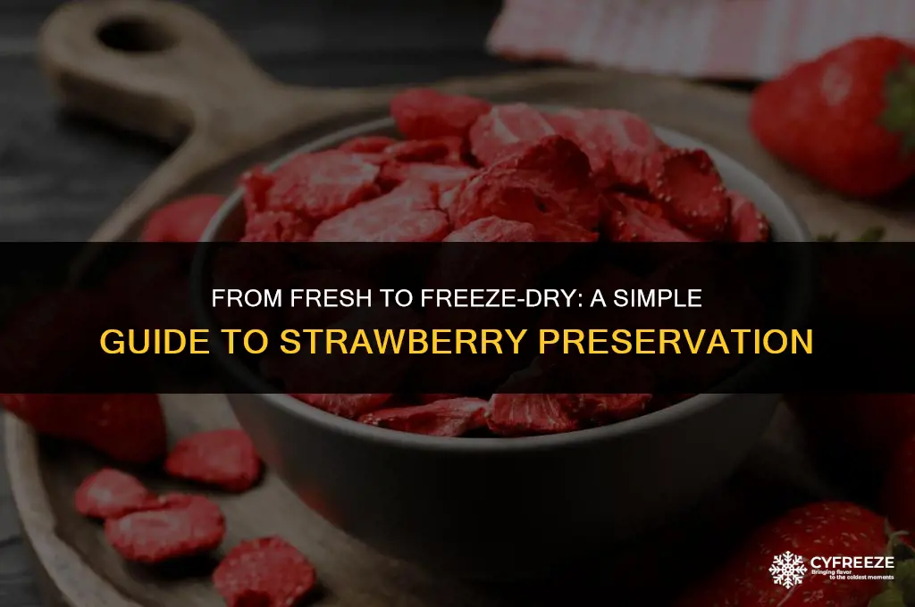 how to make freeze dry strawberries