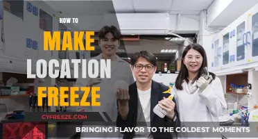 Mastering the Art of Location Freeze: A Comprehensive Guide