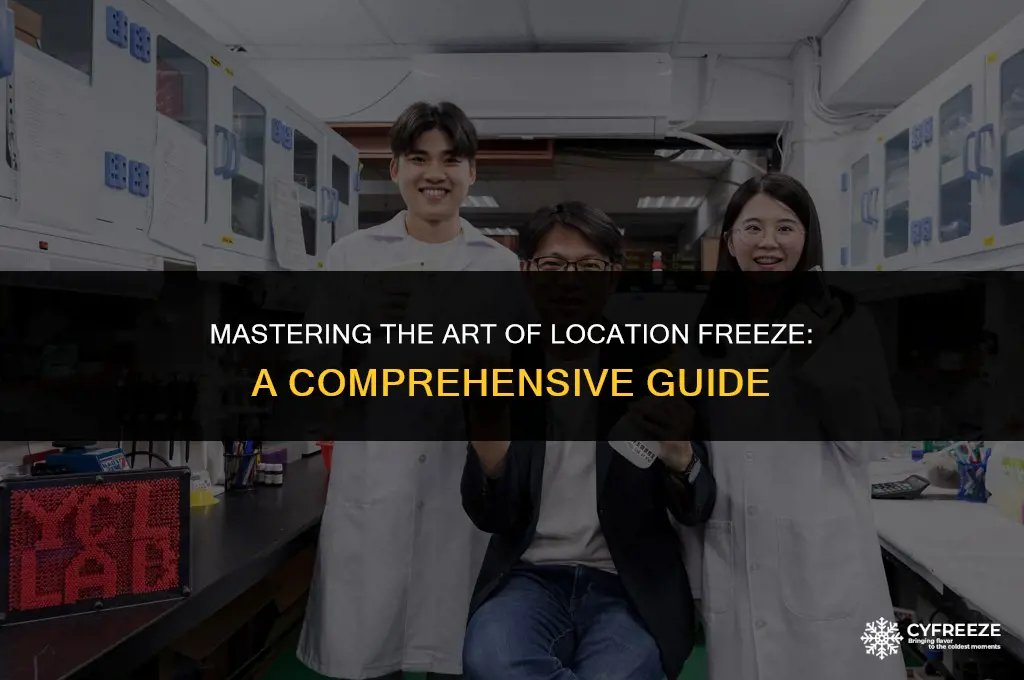 how to make location freeze