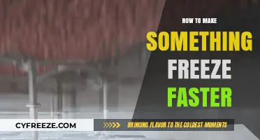 Rapid Freeze: Techniques to Expedite the Freezing Process