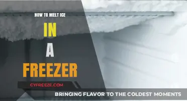 Defrosting Dilemma: How to Melt Ice in Your Freezer Fast